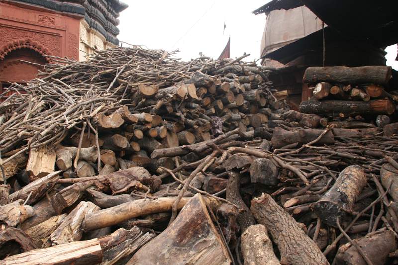 India & Nepal 2011 - 0819